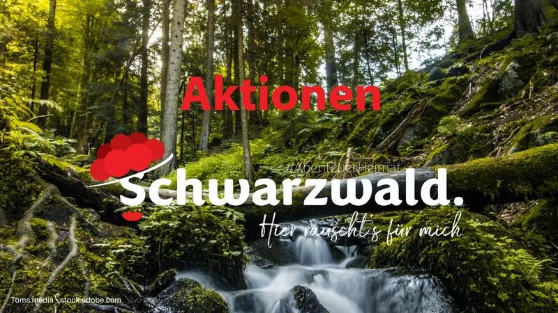 Natur und Klimatag am Regierungspräsidium Karlsruhe