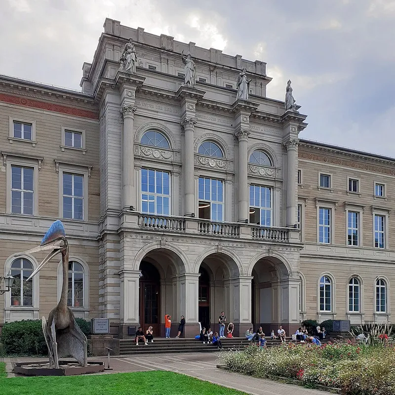 Entdeckt Dinosaurier im Naturkundemuseum Karlsruhe
