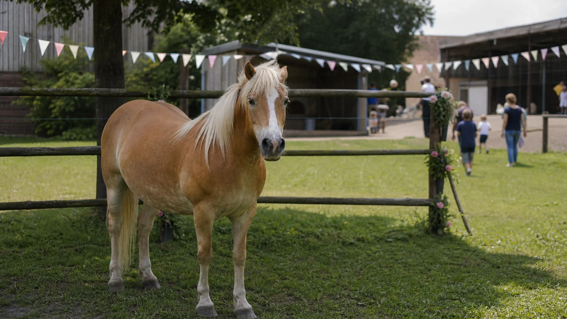 Sommerfest in der Reitanlage Rosenhof