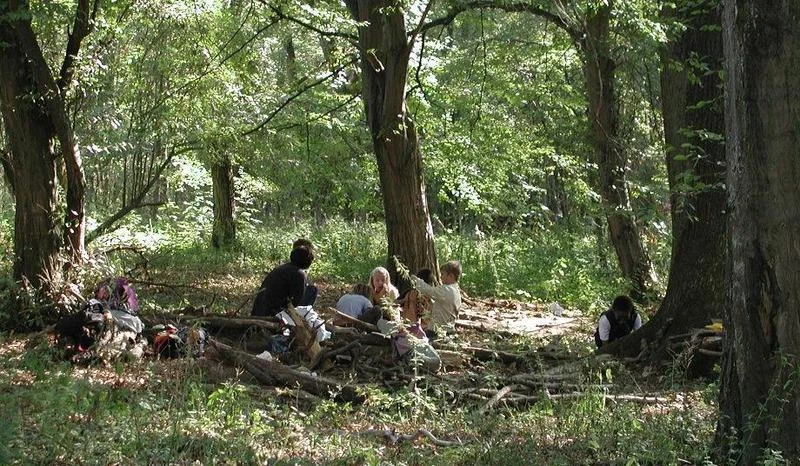 Waldentdeckerwoche im Rappenwörter Wald