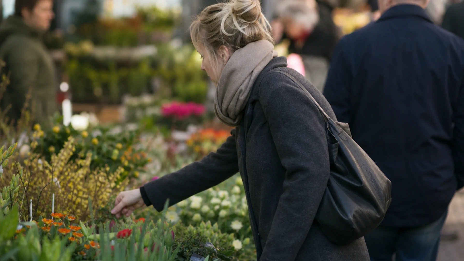 Blumenmarkt auf dem Marktplatz in Karlsruhe