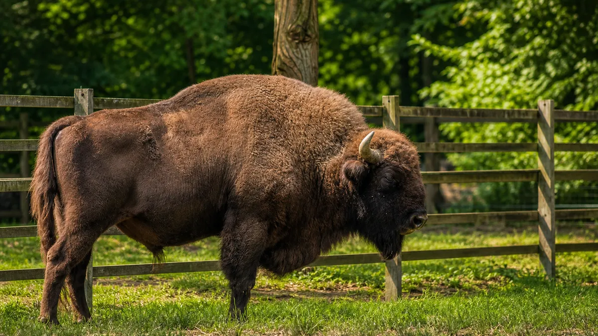 Tierpark Oberwald in Karlsruhe – Natur erleben