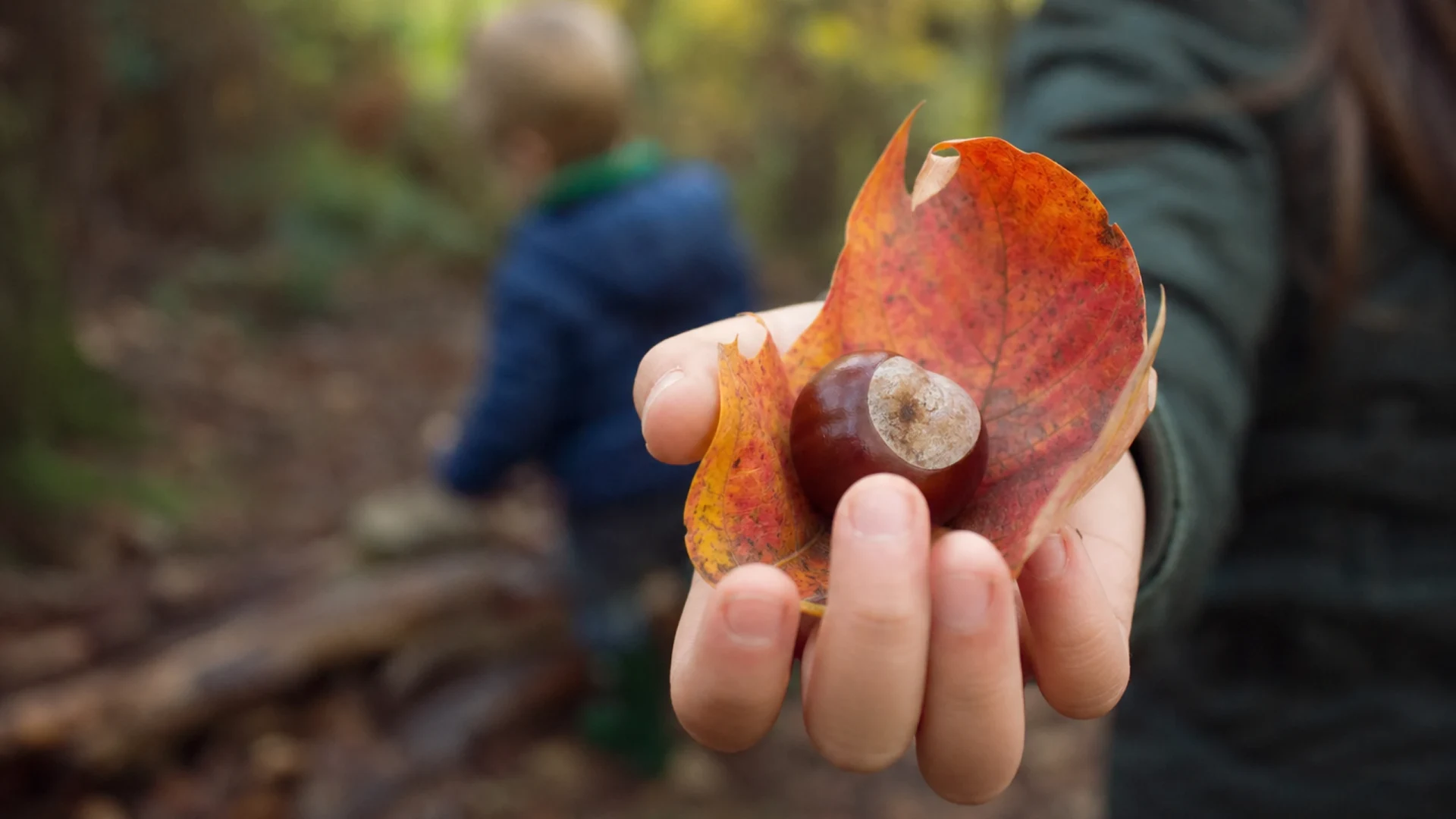 Herbstferien-Abenteuer für Kinder in Karlsruhe