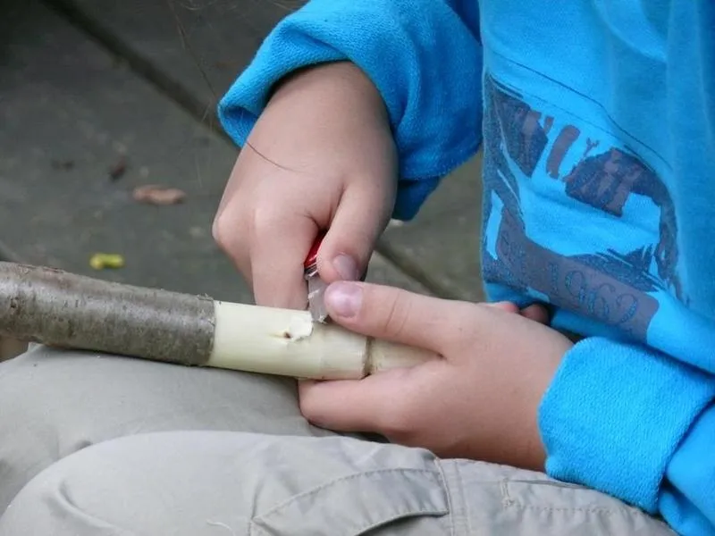 Schnitzwerkstatt im Naturschutzzentrum Karlsruhe