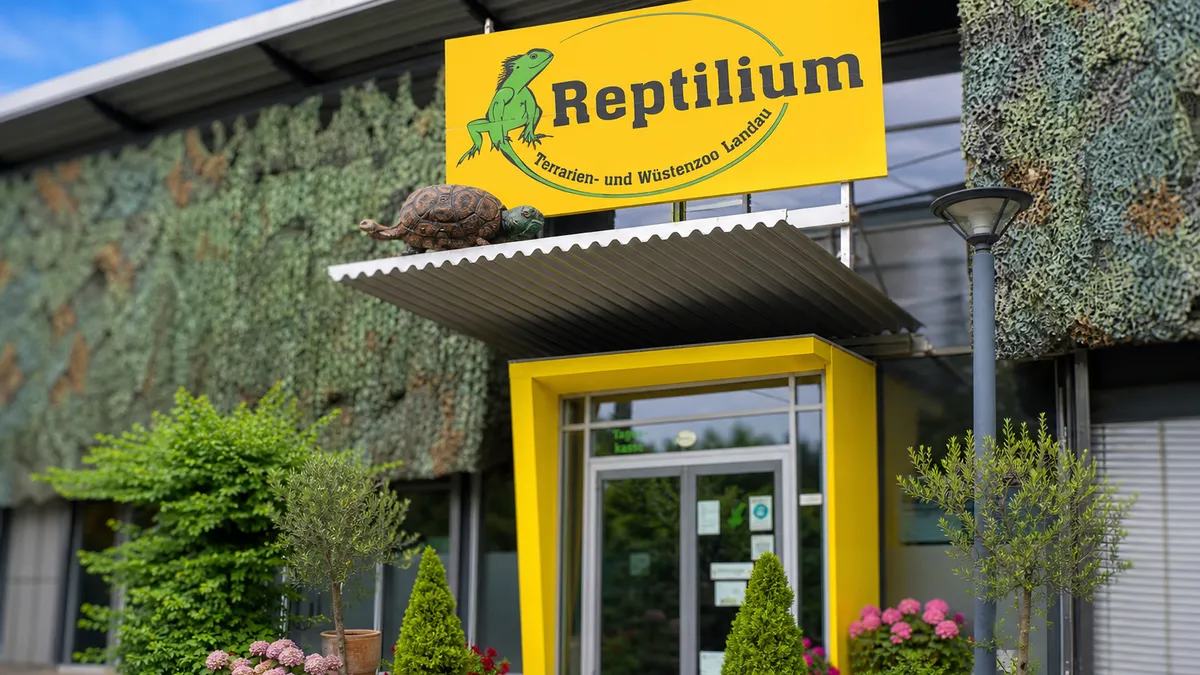 Reptilien hautnah im Reptilium Landau
