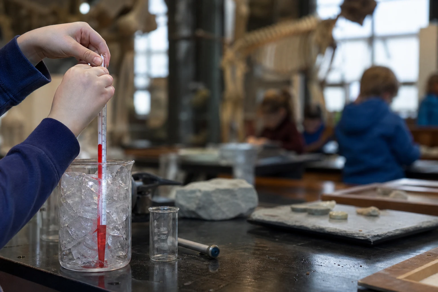 Naturwissenschaftliche Experimente für Kinder im Museum