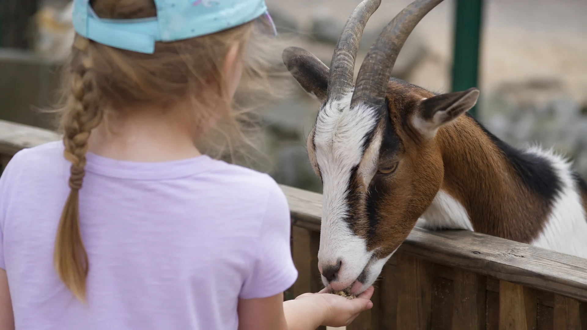 Tiergehege Neuthard, Familienausflug mit heimischen Tieren