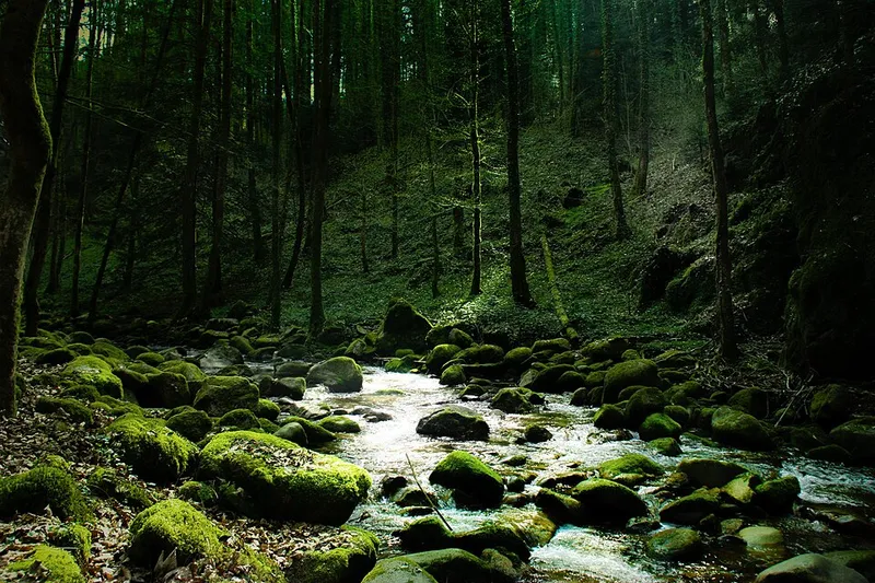Entdeckungstour zum Geroldsauer Wasserfall in Baden-Baden