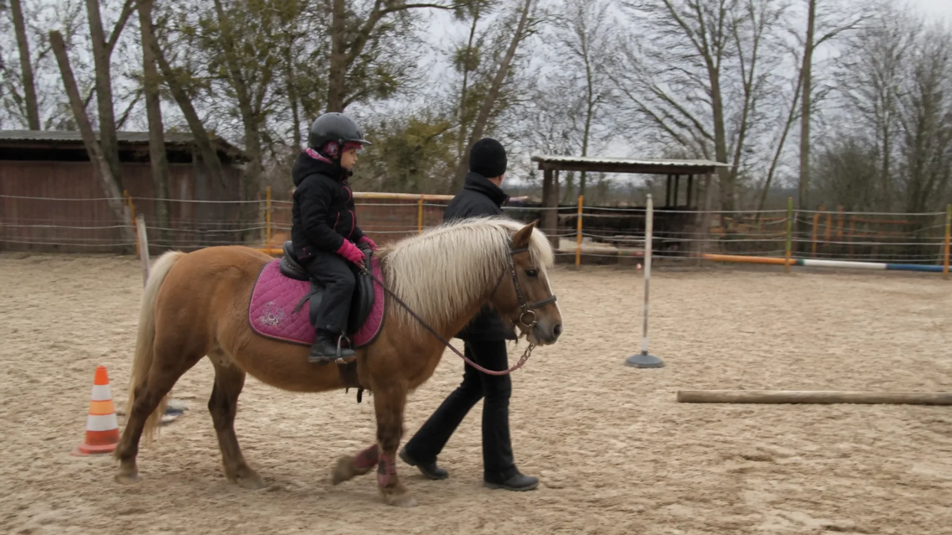 Mini-Pony-Kurse für Kinder in Rheinstetten