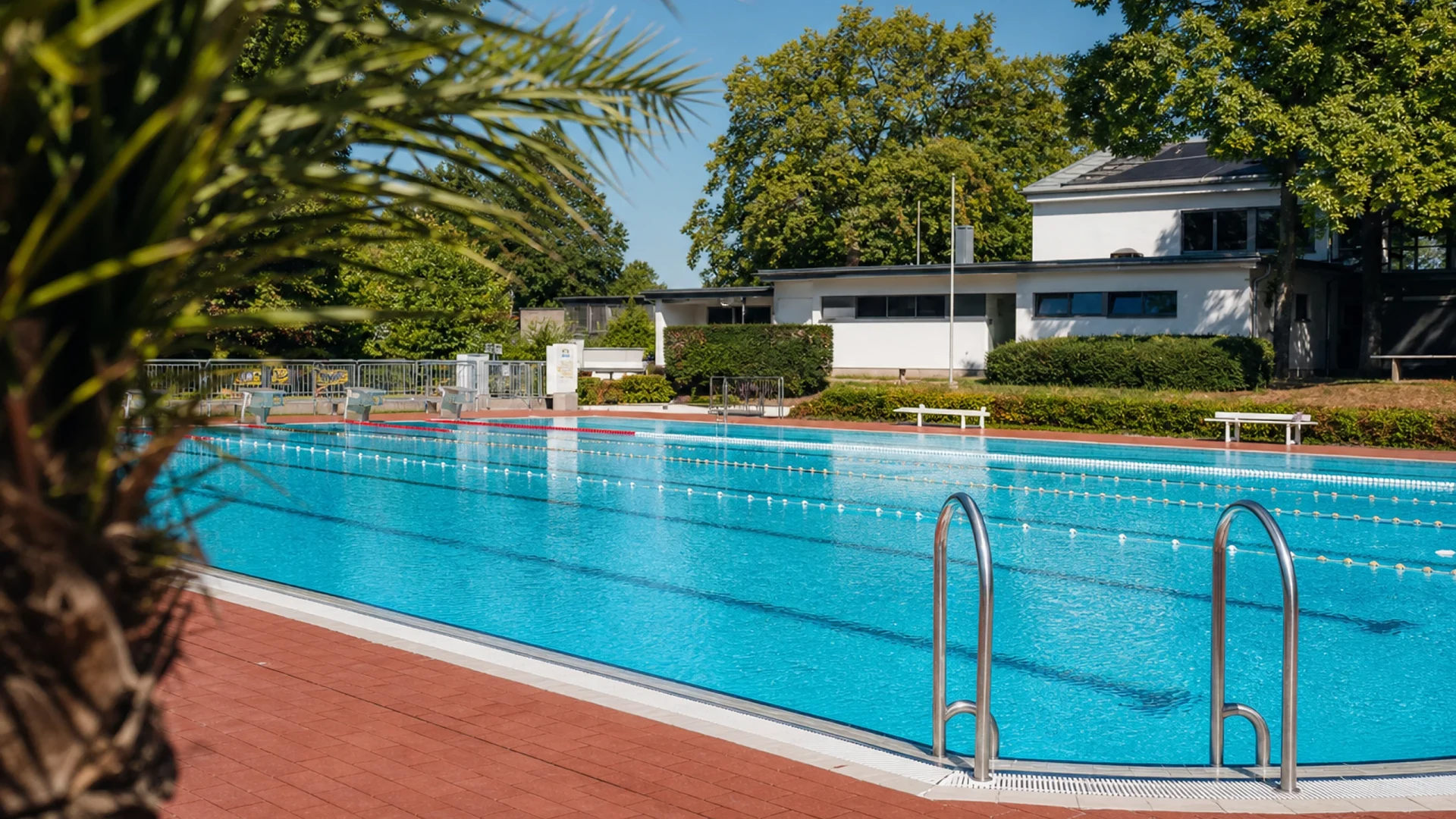 Schwimmen im Freibad Wolfartsweier Wölfle