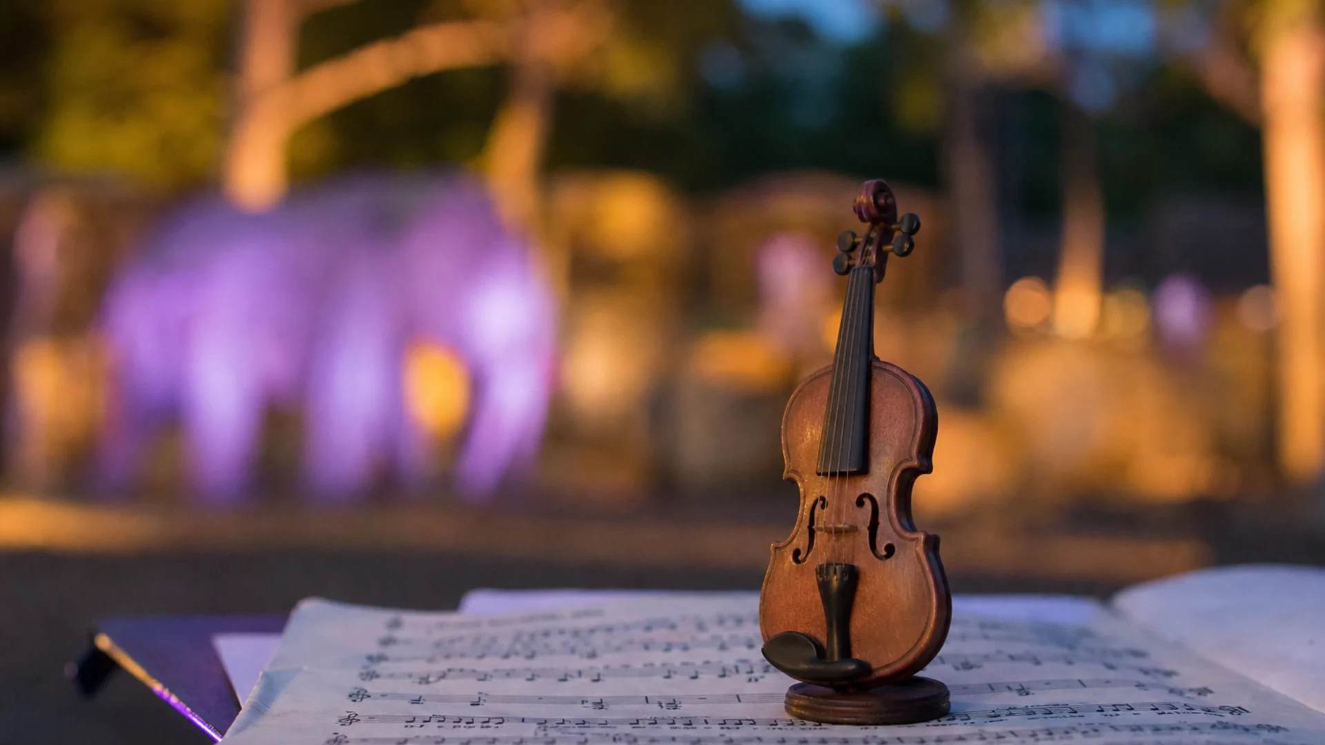 Young Classic Sommernacht im Zoo Karlsruhe