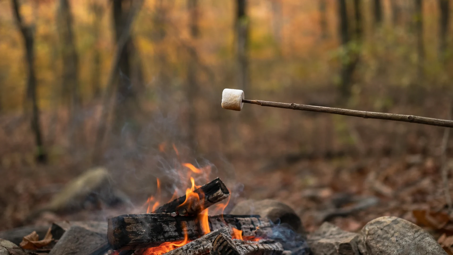 Herbstabenteuer am Feuer in Mühlburg