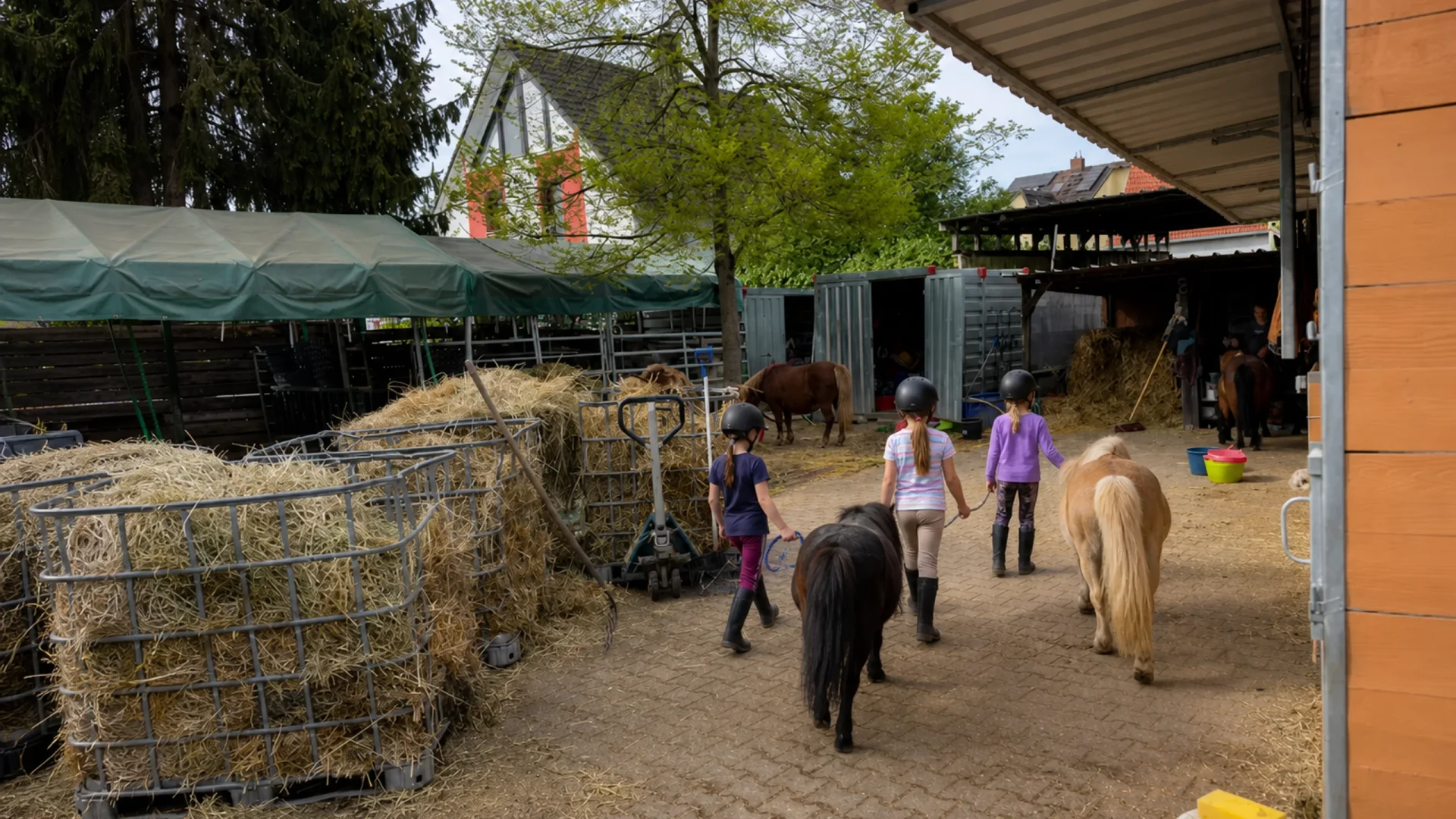 Pony-Führerschein auf dem Pferdehof Mohrhardt