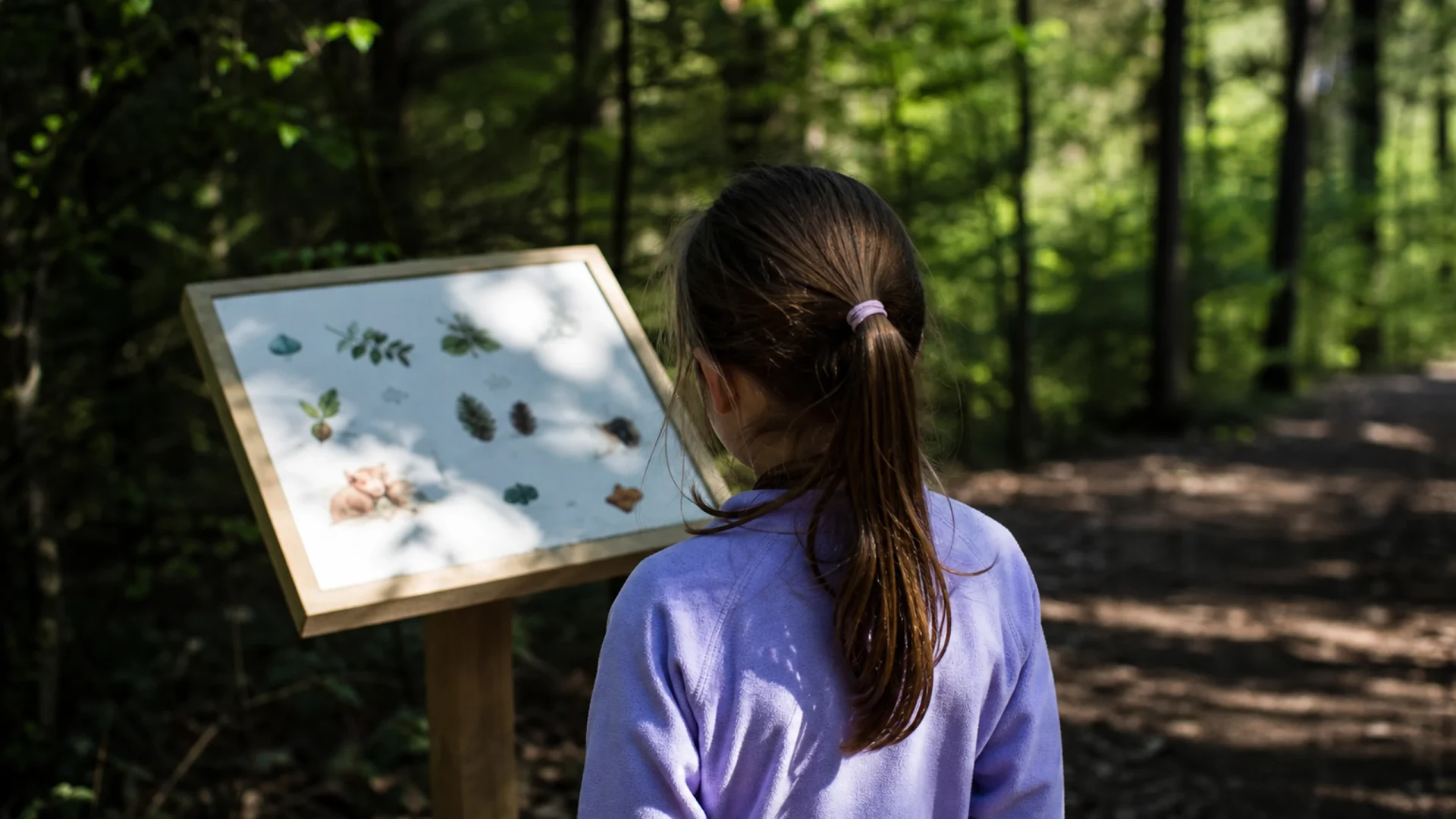 Waldlehrpfad WaldWelt in Durlach