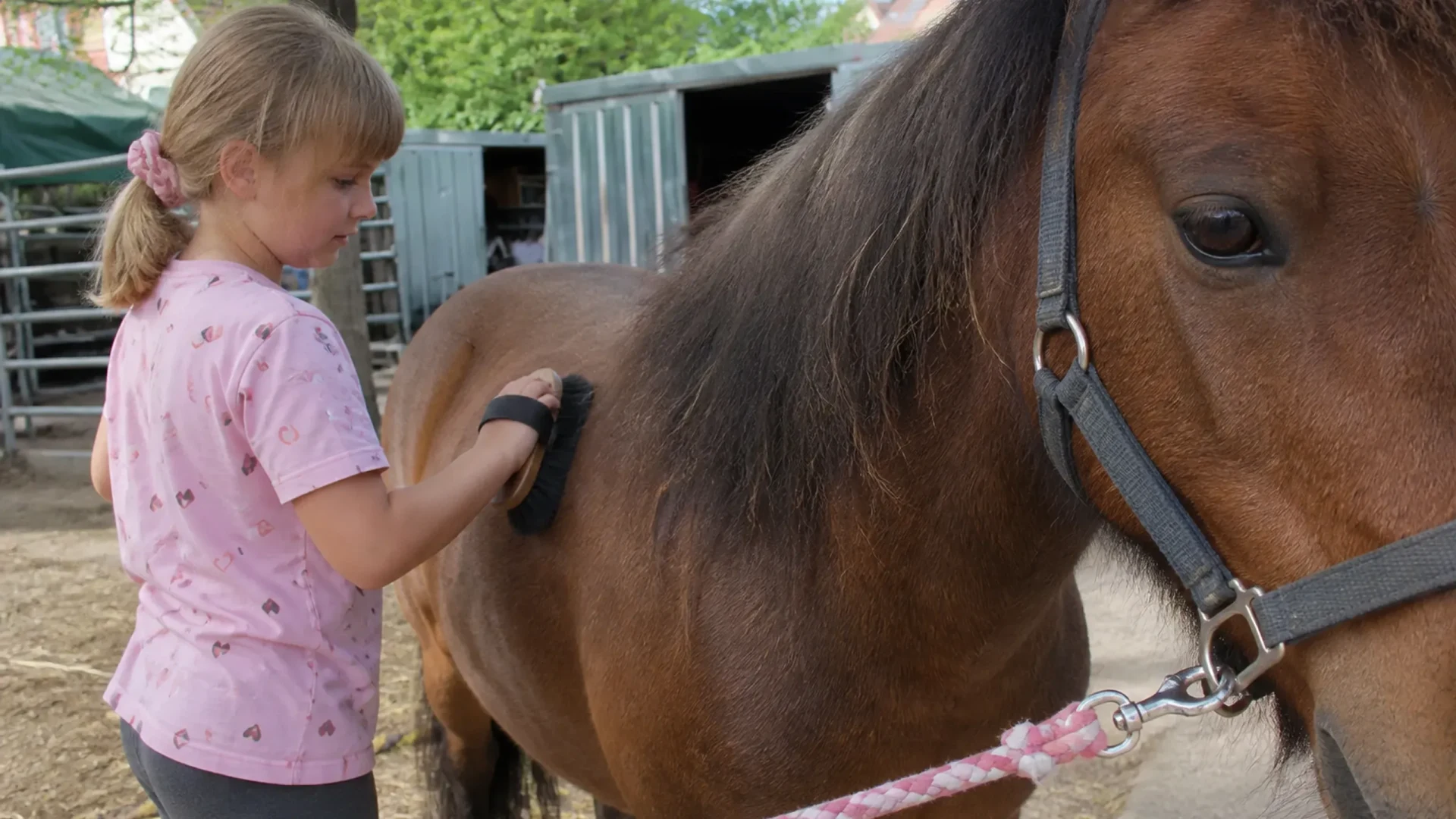 Kindergeburtstag mit Ponys in Stutensee